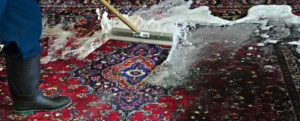 شستن فرش با تاید دستی